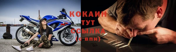 амф Арсеньев